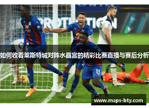 如何收看莱斯特城对阵水晶宫的精彩比赛直播与赛后分析