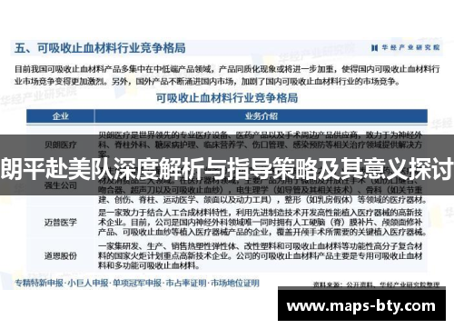 朗平赴美队深度解析与指导策略及其意义探讨