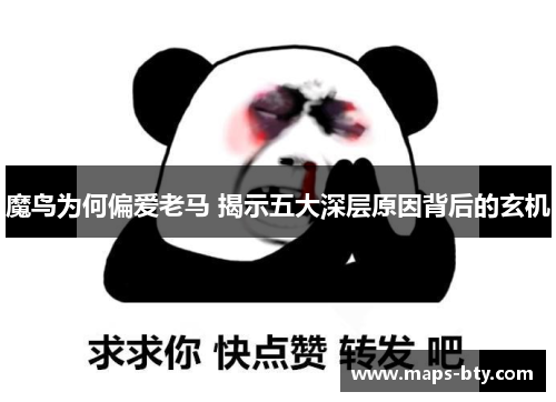 魔鸟为何偏爱老马 揭示五大深层原因背后的玄机